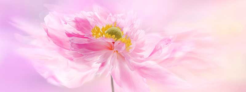 �ߏ��Ń����閳���A�v�����I�R�I�������Z�b�N�X�ł���̂̓R���I0005